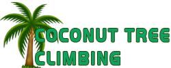 Coconut Tree Climbing
